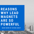 Reasons Why Lead Magnets Are So Powerful